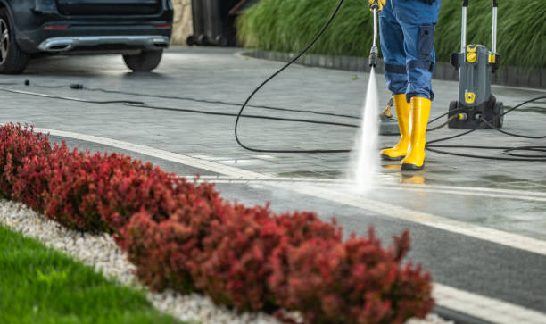 Animal Enclosure Cleaning in Lake Como, NJ